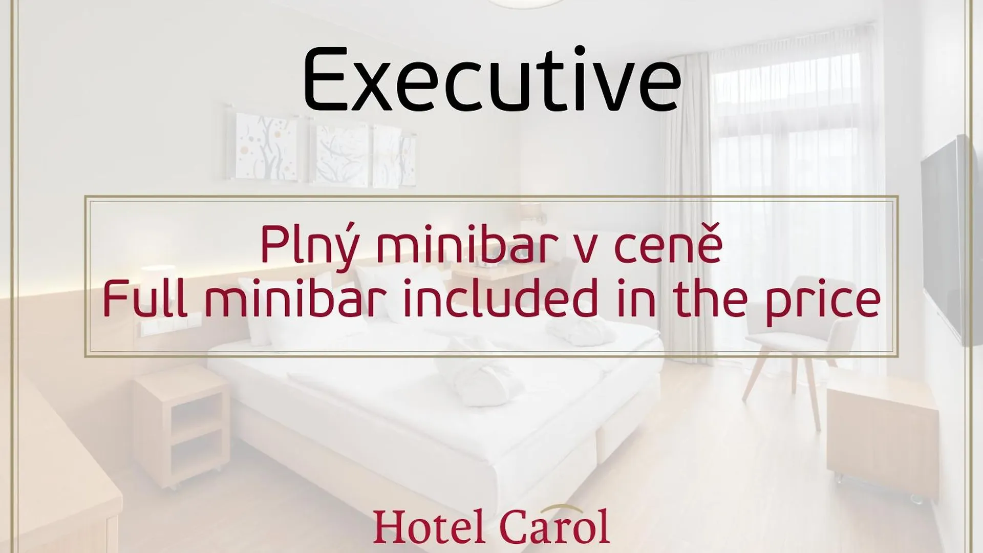 ****  Hotel Carol Prague République tchèque