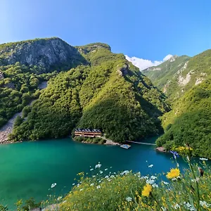  Auberge de jeunesse Riverside Komani Albanie
